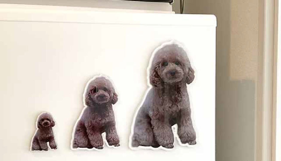 アクリルマグネット